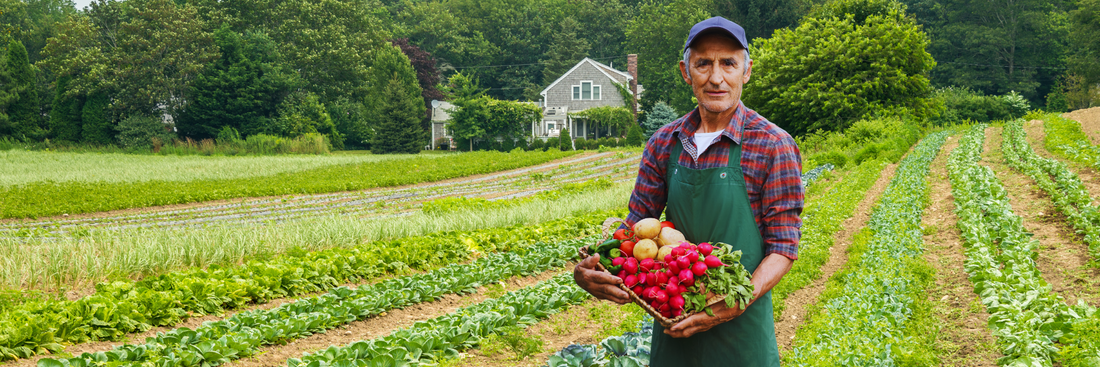 Understanding USDA Organic Certification