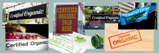 Essential Basics of Organic Certification Explained