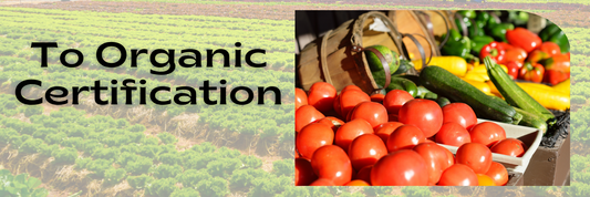 The Road to Organic Certification Explained